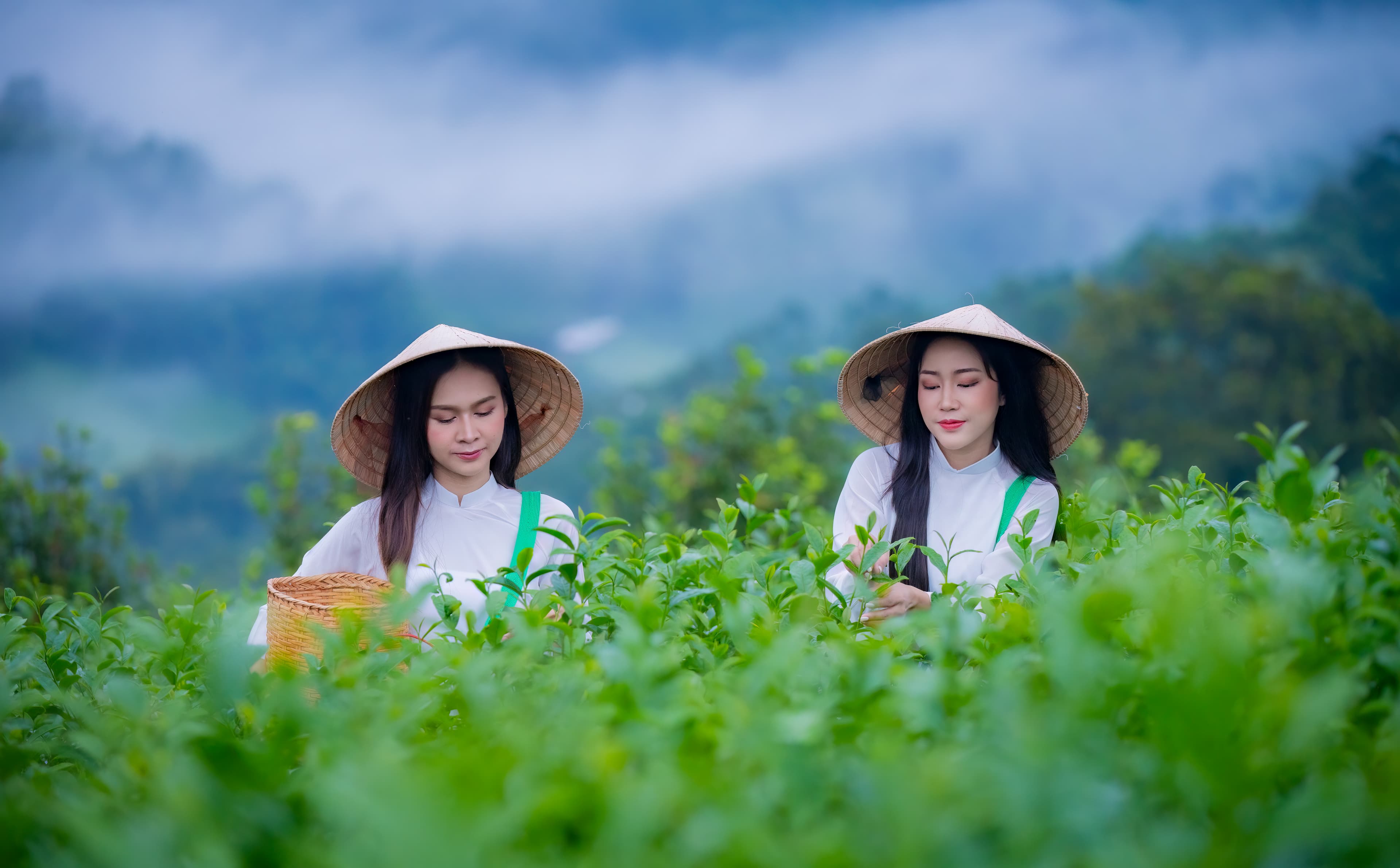 Organic Farm