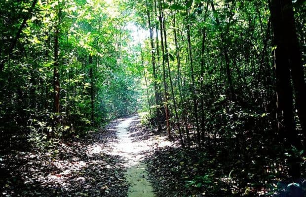 Trail Running